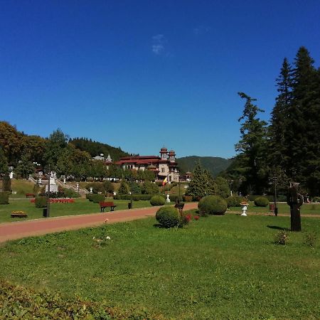 Apartamentul Alfa Slănic-Moldova Exteriör bild