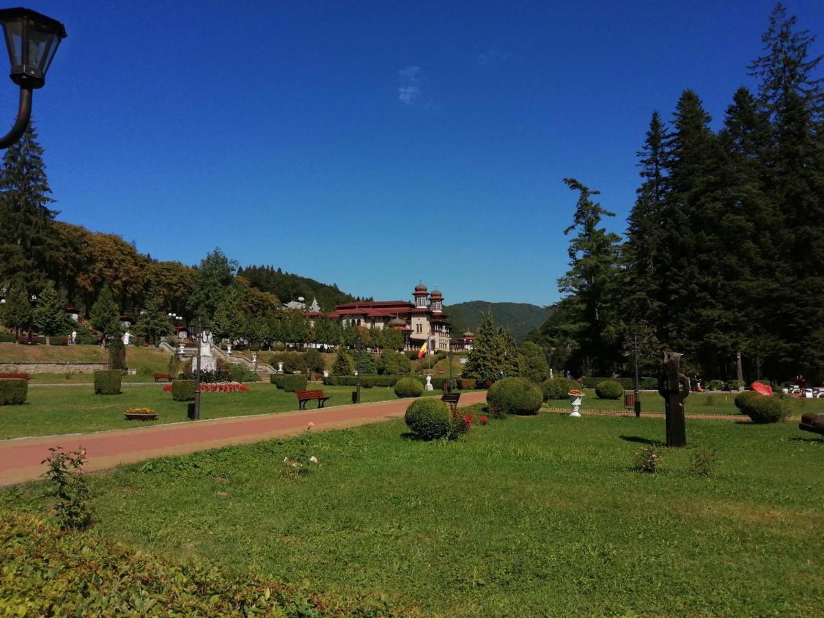 Apartamentul Alfa Slănic-Moldova Exteriör bild