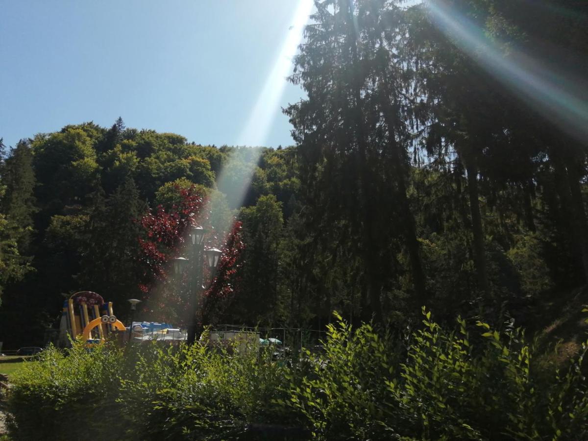 Apartamentul Alfa Slănic-Moldova Exteriör bild