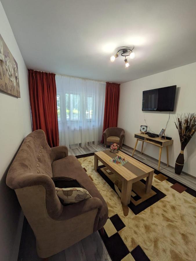 Apartamentul Alfa Slănic-Moldova Exteriör bild