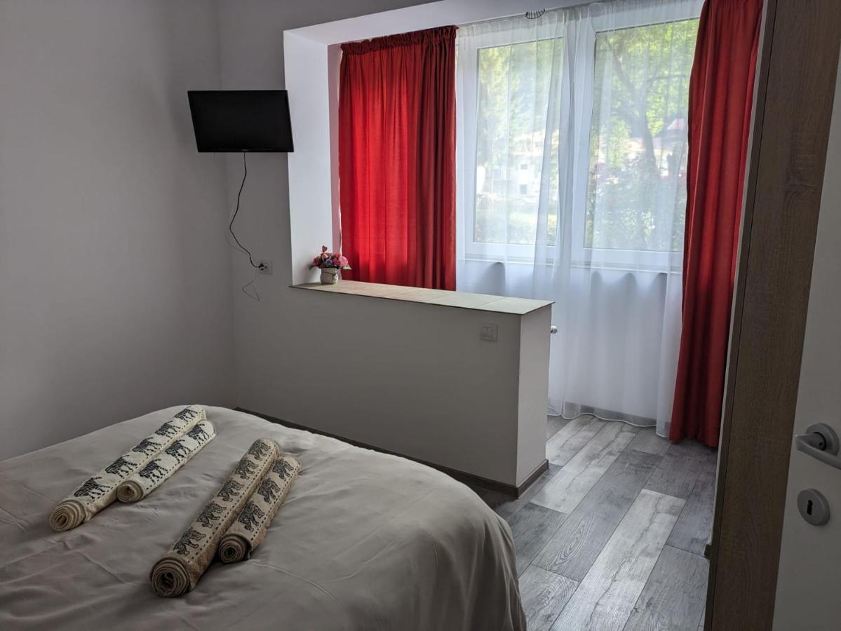 Apartamentul Alfa Slănic-Moldova Exteriör bild