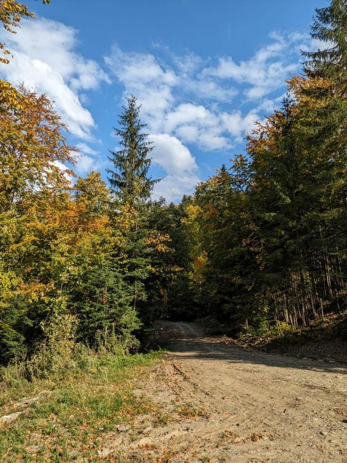 Apartamentul Alfa Slănic-Moldova Exteriör bild
